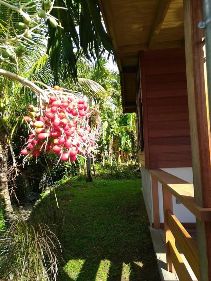Un Cosy Sous Le Vent Villa Gourbeyre Luaran gambar